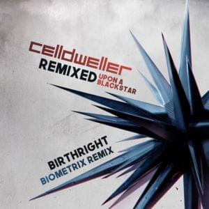 Birthright [Biometrix Remix] - Celldweller