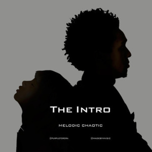 The Intro - Melodic Chaotic