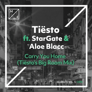 Carry You Home (Tiësto’s Big Room Mix) - Tiësto (Ft. Aloe Blacc & Stargate)