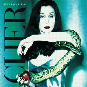 Don’t Come Around Tonite - Cher