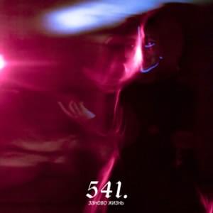 Vibedendsquadvibe - 541