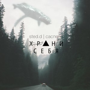 жизнь зря (life in vain) - STED.D