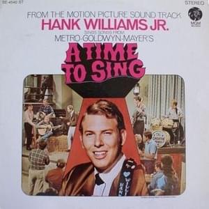 Rock In My Shoe - Hank Williams Jr.