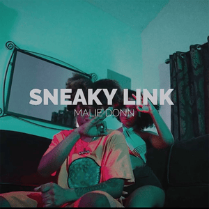 Sneaky Link - Malie Donn