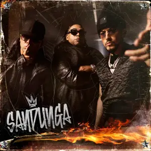 SANDUNGA - Don Omar, Wisin & Yandel