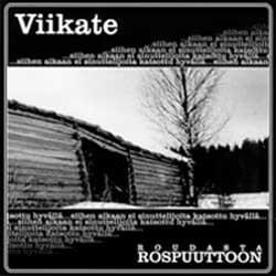 Siipien havinaa - Viikate