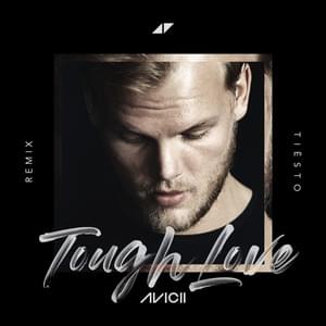 Tough Love (Tiësto Remix) [Radio Edit] - Avicii (Ft. Agnes & Vargas & Lagola)