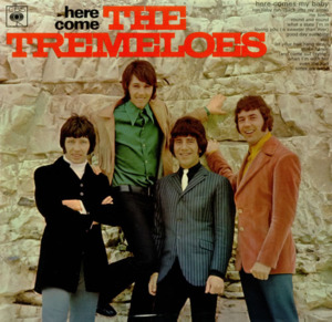 Loving You Is Sweeter Than Ever - The Tremeloes