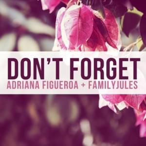 Don’t Forget (from ”DELTARUNE”) - Adriana Figueroa (Ft. FamilyJules)