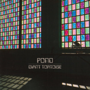 Giant Tortoise - Pond