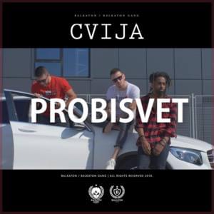 Probisvet - Cvija