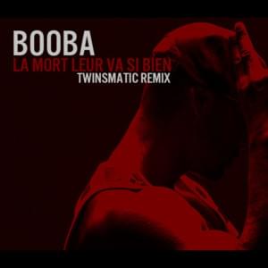 La mort leur va si bien (Twinsmatic Remix) - Booba