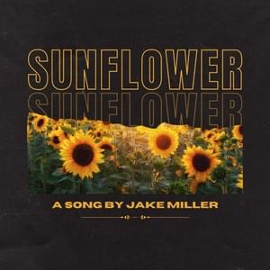 Sunflower - Jake Miller