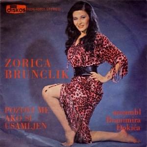 Pozovi me ako si usamljen - Zorica Brunclik