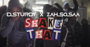 Shake That - ZahSosaa (Ft. D Sturdy)