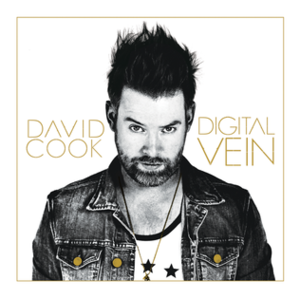 Wicked Game - David Cook