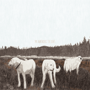 Inuit (Remix) - Foxing (Ft. Insignificant Other)