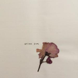 Journal Entry - Orion Sun