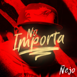 No Importa - Ñejo