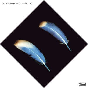 Bed of Nails - Wild Beasts