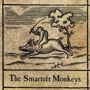 The Smartest Monkeys - XTC