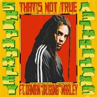 That’s Not True - Skip Marley (Ft. Damian Marley)