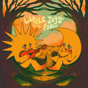 Little joys of the finite - Tom Rosenthal