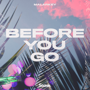 Before You Go - Malarkey & Tom Barnes