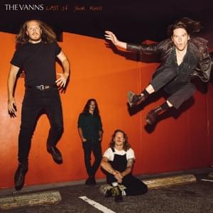 Last Of Your Kind - The Vanns