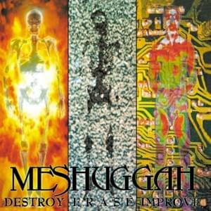 Inside What’s Within Behind - Meshuggah