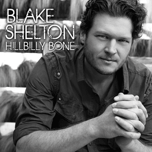 Can’t Afford To Love You - Blake Shelton