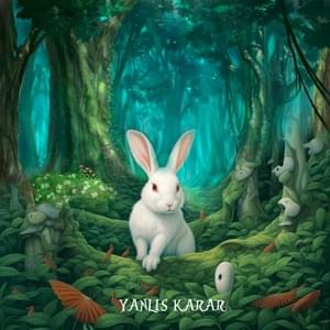 Yanlış Karar - Ohash