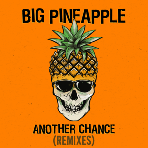 Another Chance (Don Diablo Chill Mix) - Big Pineapple