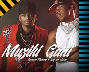 Muziki Gani - Nay Wa Mitego (Ft. Diamond Platnumz)