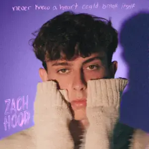 ​never knew a heart could break itself - Zach Hood