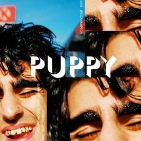 DON’T WASTE TIME (Puppy 408) - BROCKHAMPTON