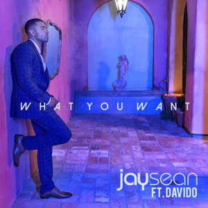 What You Want - Jay Sean (Ft. Davido)