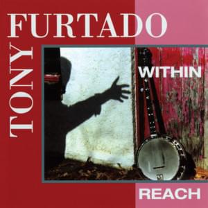 I Will - Tony Furtado (Ft. Alison Krauss)