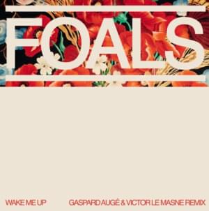 Wake Me Up (Gaspard Augé and Victor Le Masne Remix) - Foals