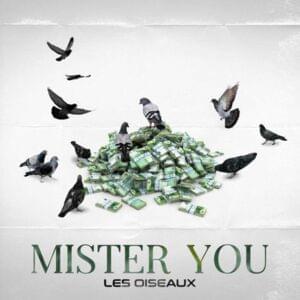 Le rosier - Mister You