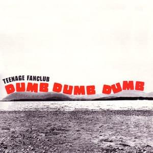 Dumb Dumb Dumb - Teenage Fanclub