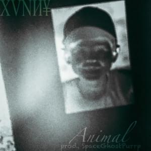 Animal - XVNИ¥