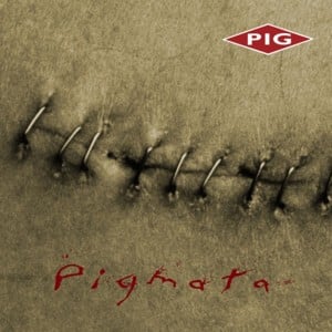 Here To Stay - Pig