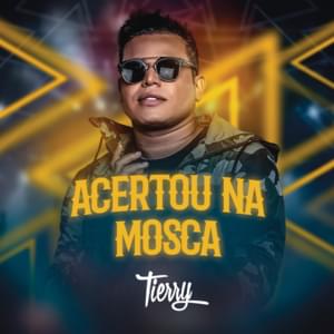 Acertou Na Mosca - Tierry (Ft. Gusttavo Lima)