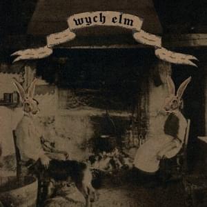 Rabbit - ​​wych elm