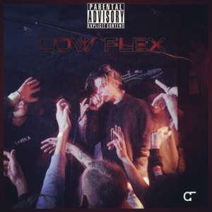 Low Flex - Mosquit