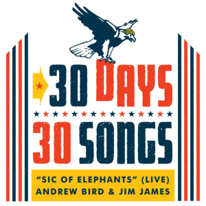 Sic of Elephants (Live) - Andrew Bird (Ft. Jim James)