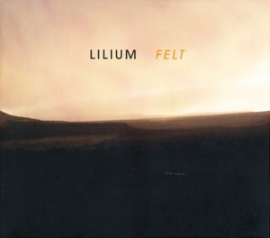 Lily Pool - Lilium