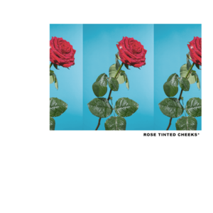 ROSE TINTED CHEEKS - Tyler, The Creator