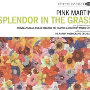 And Then You’re Gone - Pink Martini